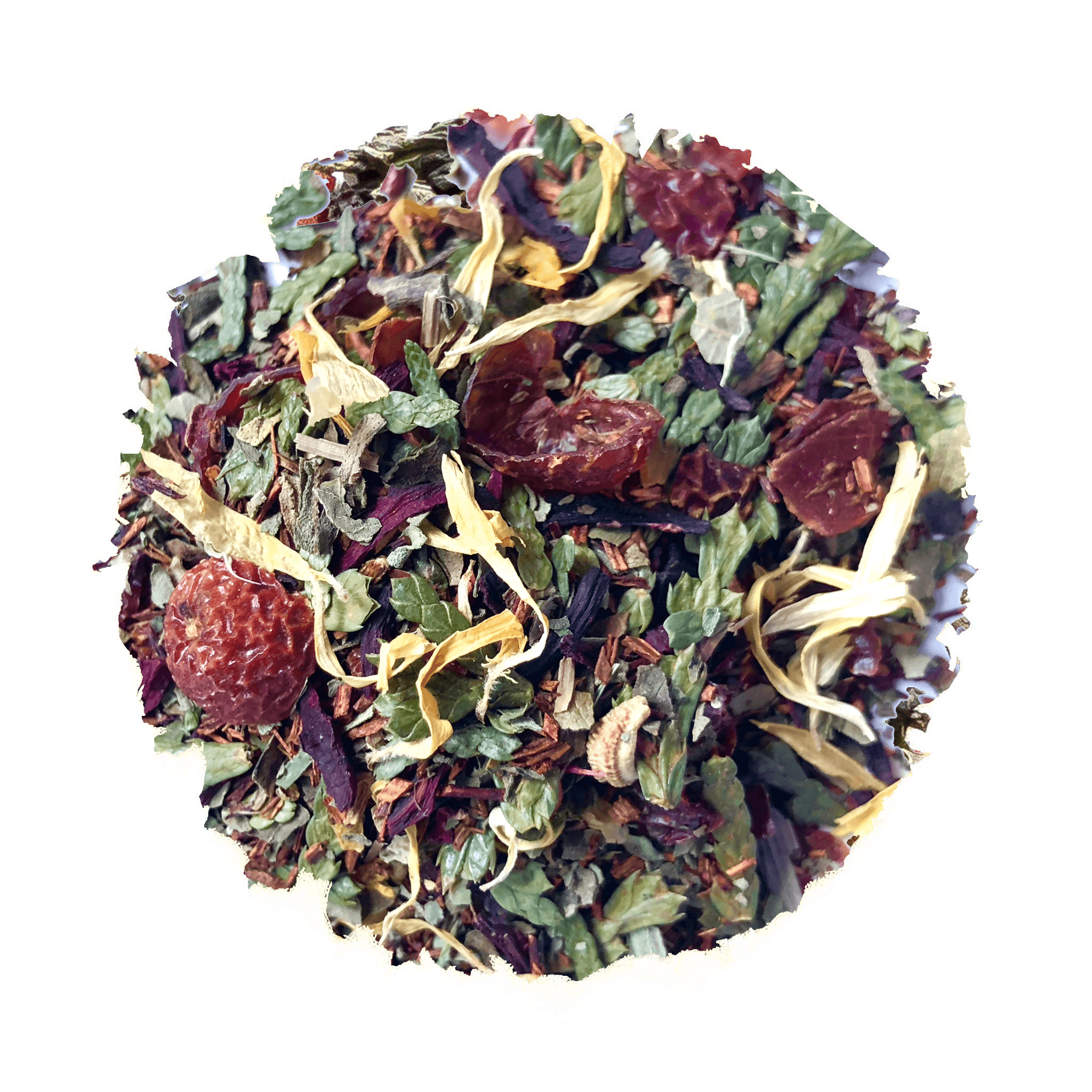 Pickled Fish's Beach Vibes - Beach House Teas