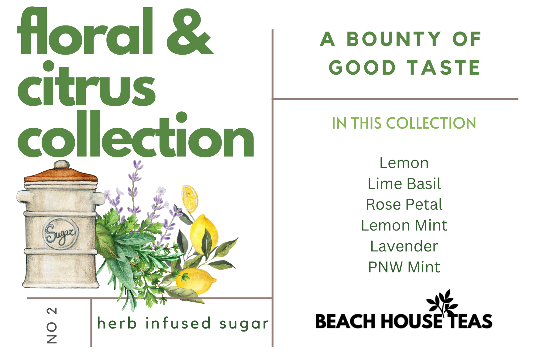 Floral & Citrus Collection