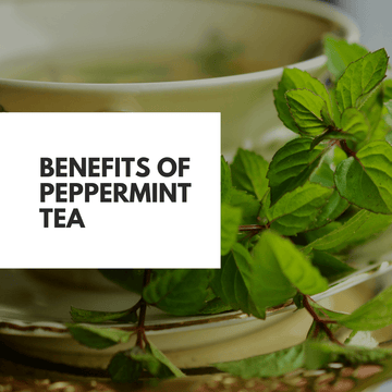 Peppermint Tea Health Benefits - Beach House Teas