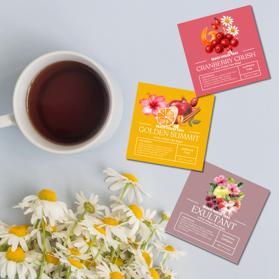 3-Pack Pre-Filled Tea Bags | Grab & Go Premium Loose Leaf Tea