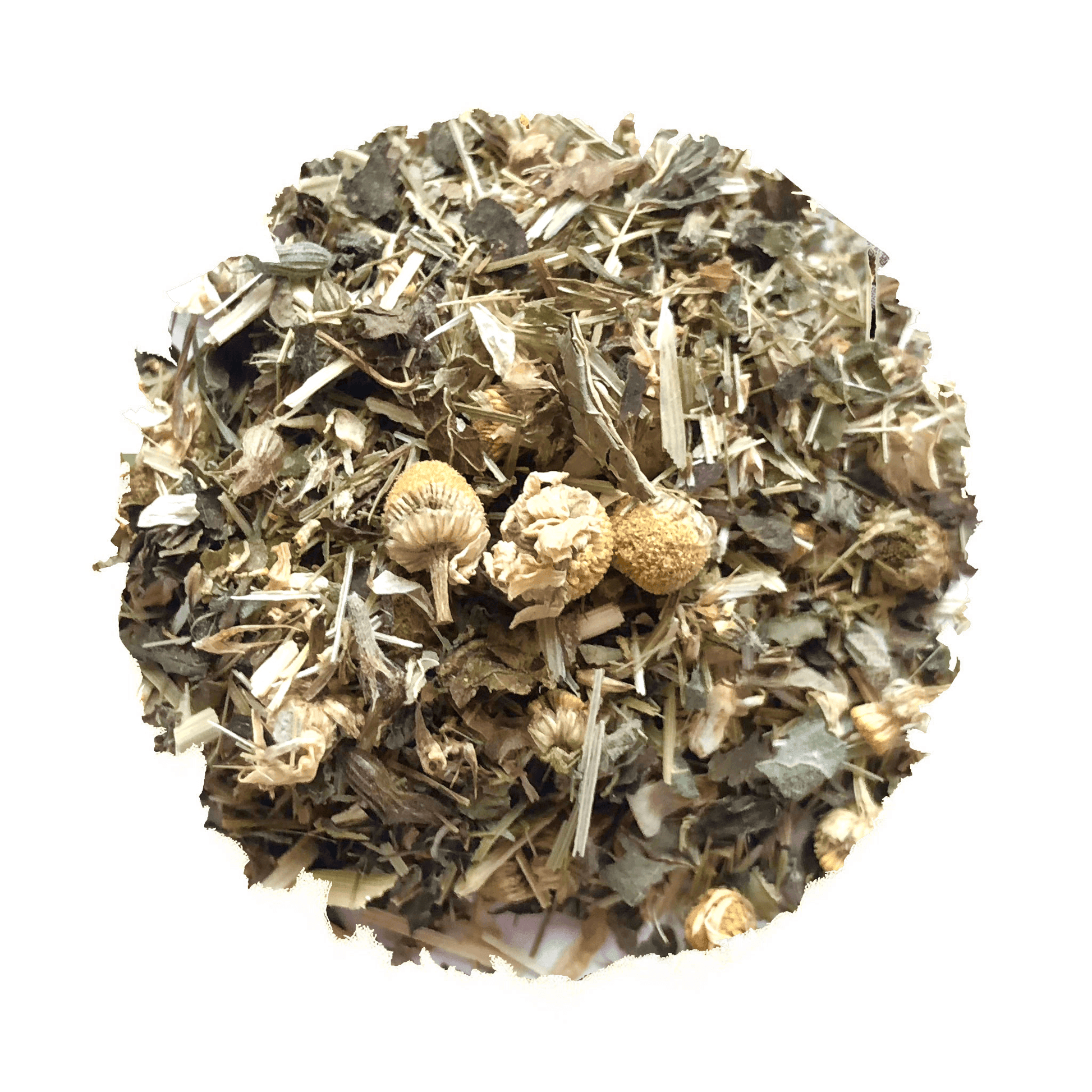 Coastal Calm For Kids - Beach House Teas