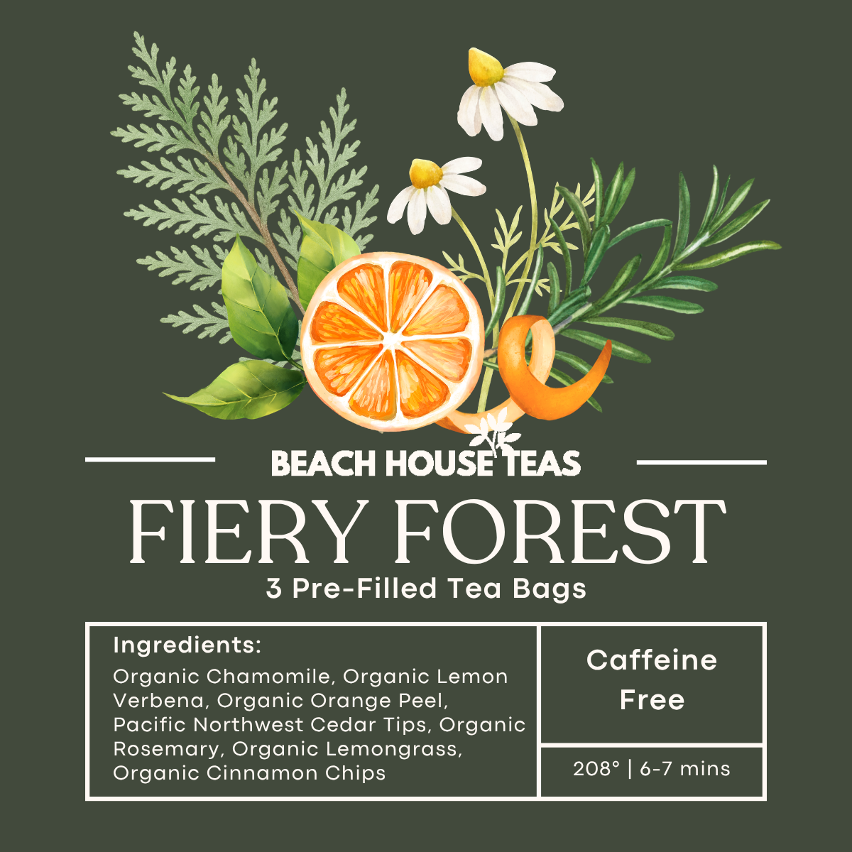 3-Pack Pre-Filled Tea Bags | Grab & Go Premium Loose Leaf Tea