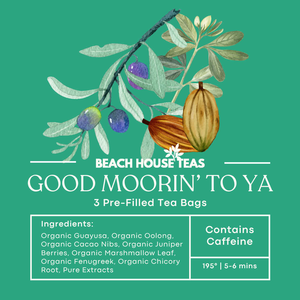 3-Pack Pre-Filled Tea Bags | Grab & Go Premium Loose Leaf Tea