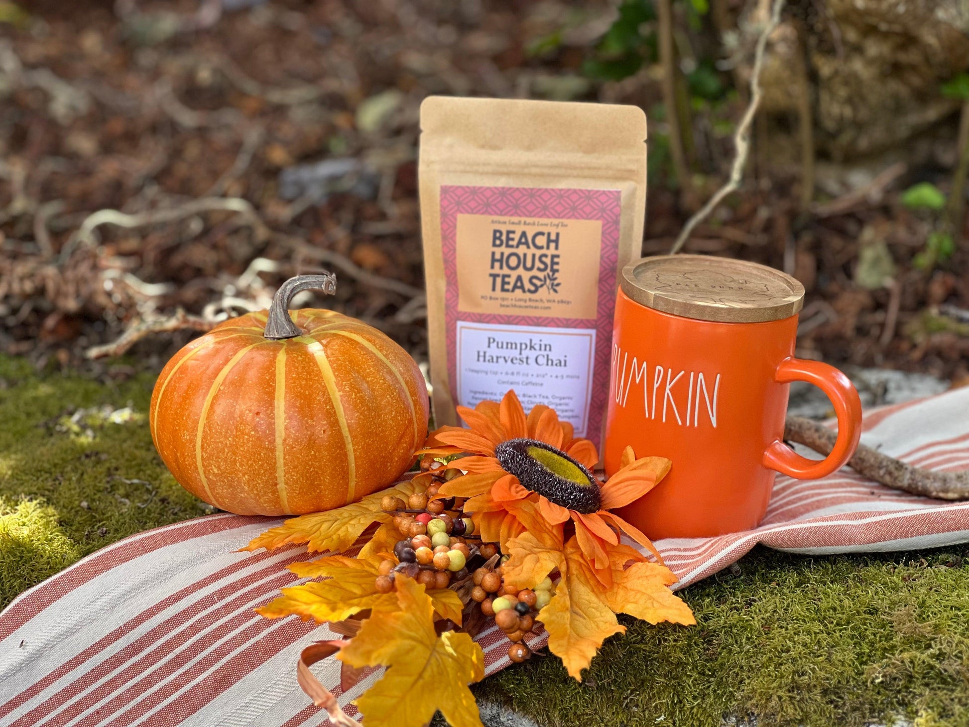 Pumpkin Harvest Gift Set - Beach House Teas